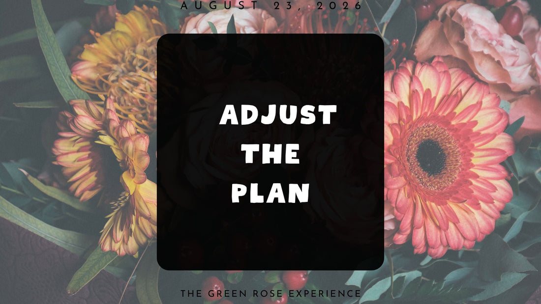 Adjust the Plan