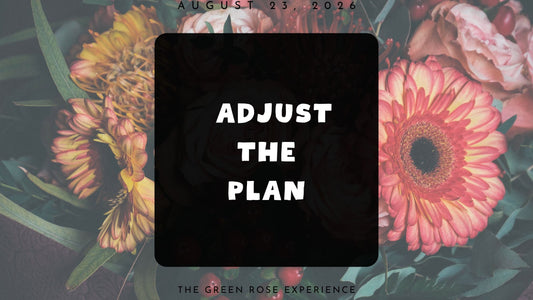 Adjust the Plan
