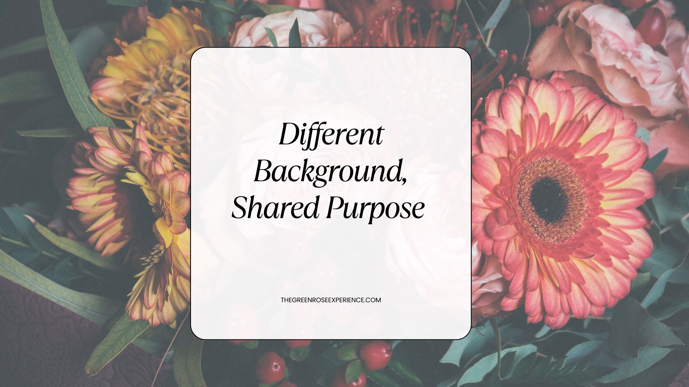Different Background, Shared Purpose – The Green Rose Experience