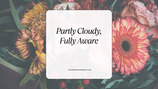 Partly Cloudy, Fully Aware