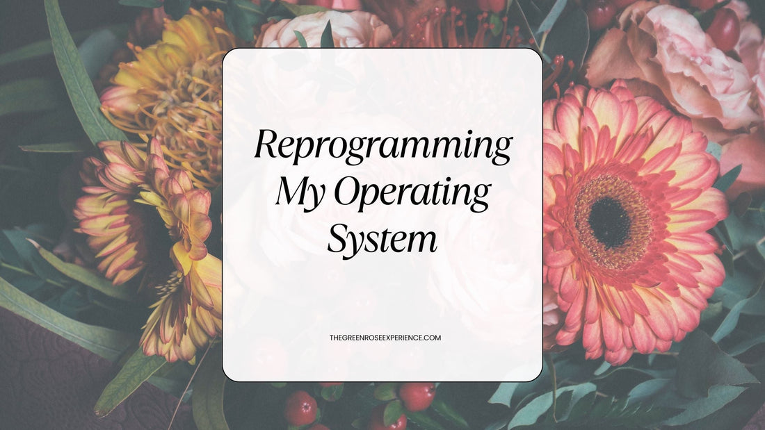 Reprogramming My Operating System